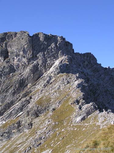 heute ist an dieser Stelle der Einstieg in den Mindelheimer Klettersteig heute ist an dieser Stelle der Einstieg in den Mindelheimer Klettersteig